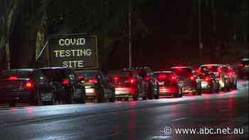 New COVID case recorded in Adelaide as long lines appear at coronavirus testing sites - ABC News