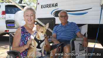 Deadly dog disease plans to hitch a ride home with tourists - Bunbury Mail
