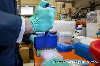 Nevada adds more than 2,000 new coronavirus cases over 3 days - Las Vegas Review-Journal