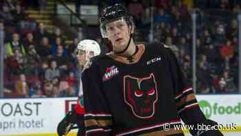 Nashville's Prokop becomes first active gay NHL player