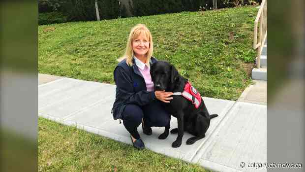 Jake the facility service dog receives Community Justice Award