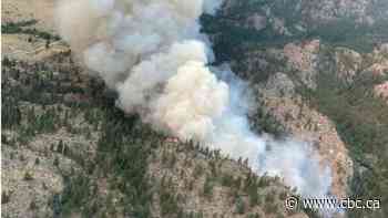 Evacuation orders issued for nearly 200 homes in B.C.'s Okanagan Valley as wildfire grows