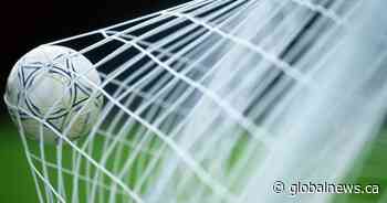 Professional soccer coming to Saskatoon or Regina, or both: future owner - Globalnews.ca