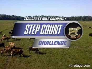 This dairy brand strapped pedometers on cows to battle plant-based milk