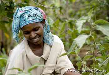Systems approach is key to food security in Africa - Imperial College London