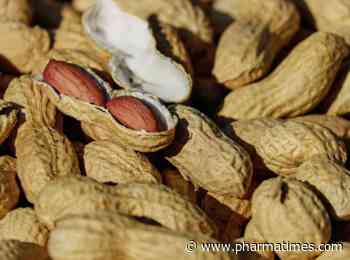 Reacta Biotech raises £2.9m to scale up food allergy clinical diagnostics portfolio - PharmaTimes