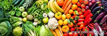 Comment Henry Dimbleby's National Food Strategy reveals a disdain for the poor - Politics.co.uk