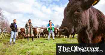 Dispatches from the grassroots: Farmerama and the new wave of food media - The Guardian
