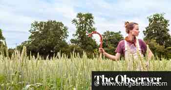 ‘Sustainable isn’t a thing’: why regenerative agriculture is food’s latest buzzword - The Guardian