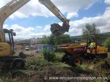 Fears over Japanese Knotweed left in Darwen gardens after development site cleared for houses