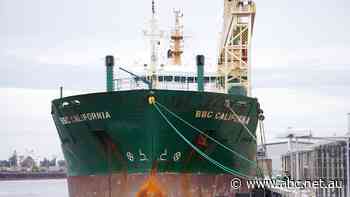 COVID-19 outbreak on Fremantle-docked cargo ship grows, as second ship sparks concern