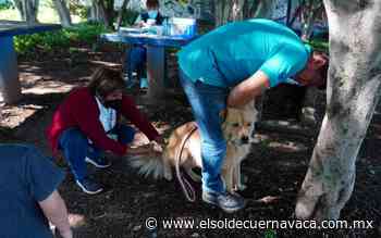 En Jiutepec: ¡Lleva a vacunar a tus peluditos! - El Sol de Cuernavaca