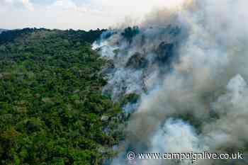 Good-Loop launches ad tracker to monitor carbon cost of digital campaigns