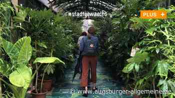 Lampions und Stadt-Dschungel: Das bietet Augsburg im Sommer