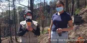 ¿Recuerdas el incendio forestal de Libres? - Diario Puntual