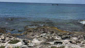 Libres de contaminación, abarrotadas de sargazo – Luces del Siglo - Luces del Siglo