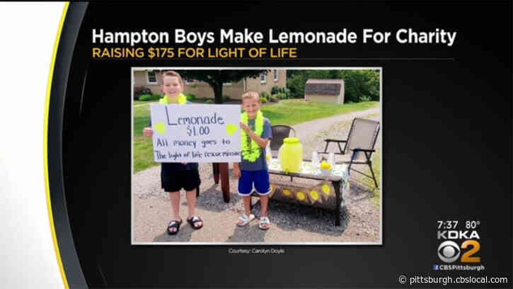 Hampton Township Boys Raise Almost $200 For Charity Using Lemonade Stand