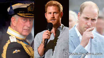 Prince William, Prince Charles are ‘shaken up’ and 'nervous' about Prince Harry's upcoming memoir, source says