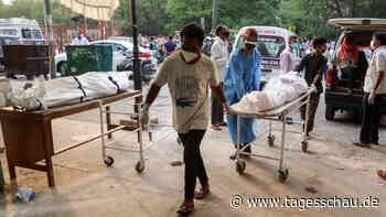 Pandemie in Indien: Studie schätzt Millionen mehr Tote