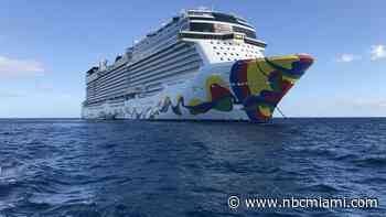 Appeals Court Blocks Order Lifting CDC Virus Rules on Cruise Ships