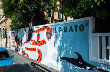 "Olimpiadi di mare", un murale per Il Prato - QuiLivorno.it