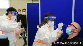 Prato Covid, picco di contagi. Si abbassa l’età media: solo 35 anni - LA NAZIONE