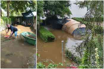 Lommels gezin met camping in Ardennen: “Ons levenswerk is verwoest” - Het Belang van Limburg