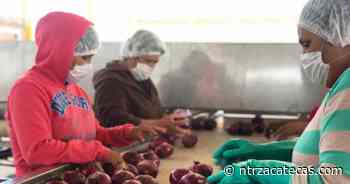 Cumple Tello con financiamiento para agricultura de negocios - NTR Zacatecas .com