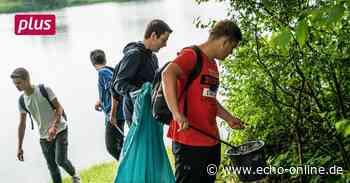 Schüler sorgen für ein "sauberhaftes" Heppenheim - Echo Online