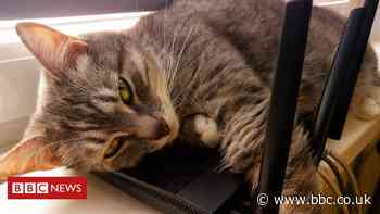 Keep your router out of the sun, Virgin Media warns