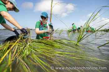 Do you know a Houston hero? Nominate helpers in the community - Houston Chronicle