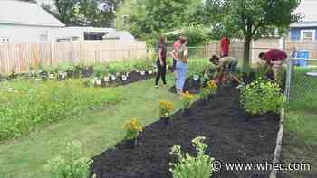Volunteers begin planting Tyshaun Cauldwell Memorial Garden