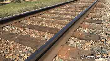 Transportation Safety Board investigating after train sparks ignite Calgary grass fire