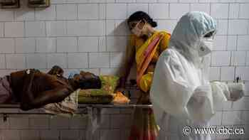 India's COVID-19 death toll could be 10 times the official count, research suggests