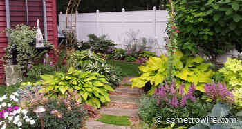 Portage Co. seeking new Master Gardener Volunteers - Point/Plover Metro Wire