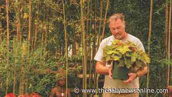 Master Gardener: Learn to be your own 'plant doctor' - The Daily News Online