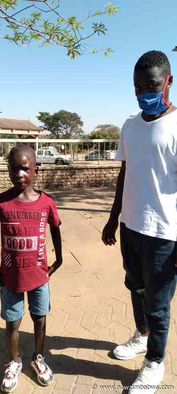 Gardener Whose Boss' Dogs Savagely Mauled Boy (7) Is Fined $20 000 - New Zimbabwe.com