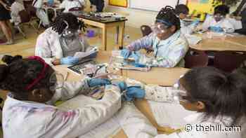 Public charter schools group blasts proposed Democratic cut