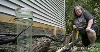Twin Cities suburbs make way for gardens