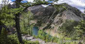 Fire ban issued for Banff National Park because of ‘elevated’ danger