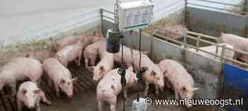 Varkenshouders willen meer uit data halen - NieuweOogst.nu