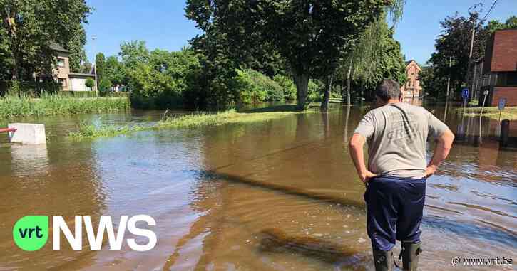 In Halen zakt waterpeil Velpe en Gete, situatie in Rotselaar stabiel, maar problematisch - VRT NWS