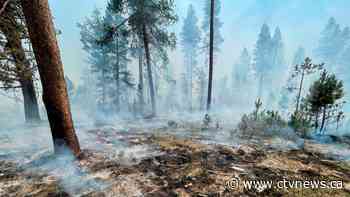 Monster U.S. wildfire tests years of forest management efforts - CTV News