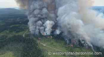 BC declares state of emergency over forest fires - Western Standard