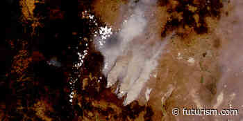 A Forest Fire in Oregon Is So Huge That It's Generating Freak Lightning Storms - Futurism