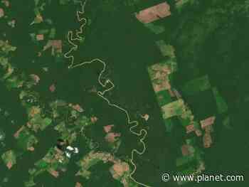 NICFI Users Make Progress Towards Reducing and Reversing tro... - planet.com