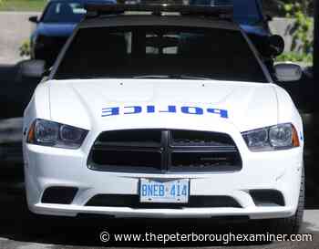 Bancroft man who allegedly struck tree with vehicle in Peterborough charged - ThePeterboroughExaminer.com