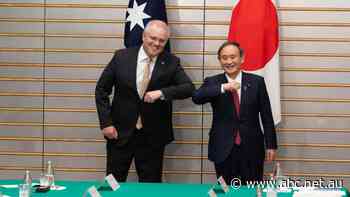 'Australia is not walking alone': Japan's ambassador backs federal government's handling of China