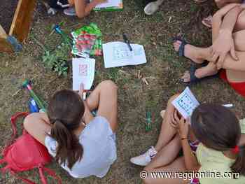 Casalgrande, i ragazzi realizzano un orto di comunità a Salvaterra. FOTO - Reggionline