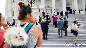 Lawmakers spend more on personal security in wake of insurrection